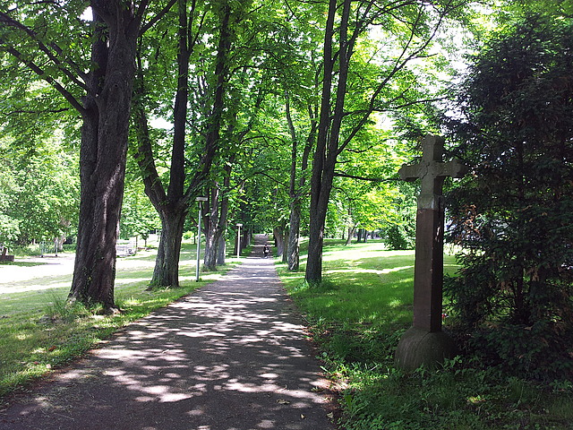Rheinradweg