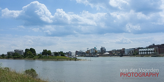 Neckarmündung im Rhein