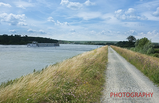 Rheindamm