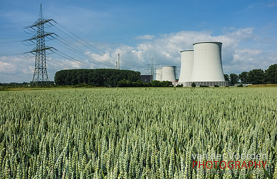 AKW Biblis im Kornfeld