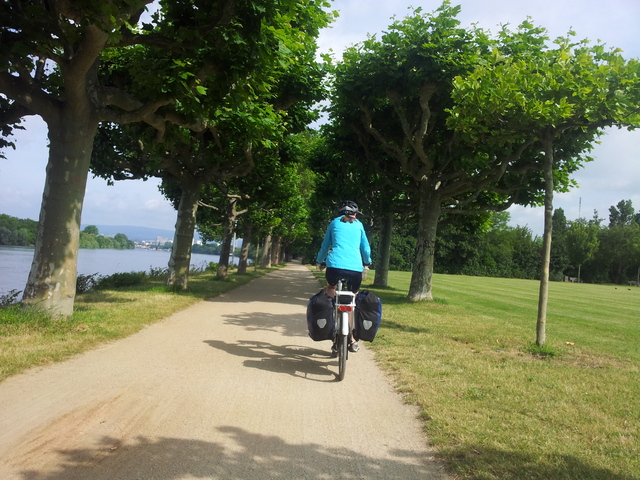 Rheinradweg