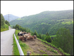 Sedrun