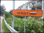 Heidi, Heidi, überall Heidi