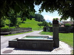 Heidi Brunnen