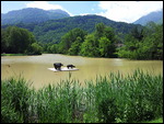 Park in Bad Ragaz
