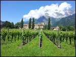 Weingut