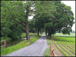 Rheinradweg