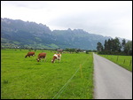 Auf dem Weg zum Bodensee
