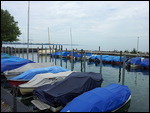 Hafen am Bodensee