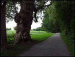 Rheintalweg Route 2