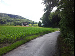 Rheinradweg