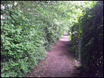 Radweg am Rhein