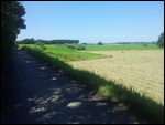 Auenland